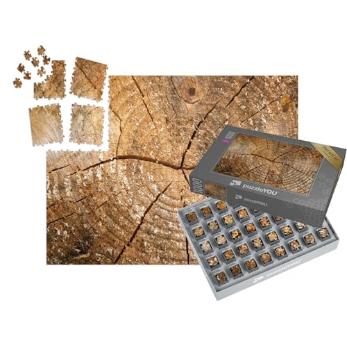 puzzleYOU: SMART Sorted® | Puzzle 1000 Teile leicht gemacht „Verwittertes Holz mit Jahresringen“ – aus der Puzzle-Kollektion Bäume, Wald & Bäume von puzzleYOU