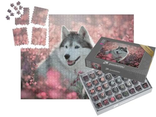 puzzleYOU: SMART Sorted® | Puzzle 1000 Teile leicht gemacht „Wunderschöner Husky auf einem blühenden Feld“ – aus der Puzzle-Kollektion Hunde, Huskys, Tiere des Nordens von puzzleYOU