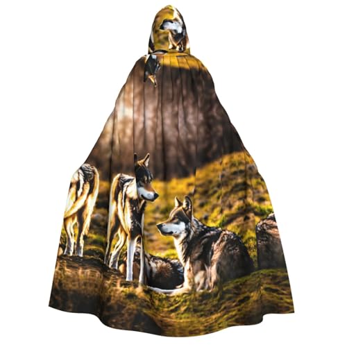 pvinnk Wolfs-Druck, Karnevals-Dekorationen, Stil, Kapuzenumhang für Kostümpartys, Cosplay, Hexenkostüme pvinnk Wolfs-Druck, Karnevals-Dekorationen, Stil, Kapuzenumhang für Kostümpartys, Cosplay, Hexenkostüme von pvinnk