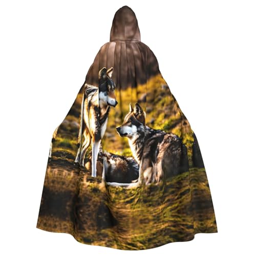 Wolfs-Druck, Gothic-Karnevals-Umhang, dunkler Fantasieumhang für Maskerade und Cosplay-Events von rannsut