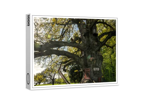 raxxa Premium-Puzzle | Baumgasse | 1000 Teile von raxxa