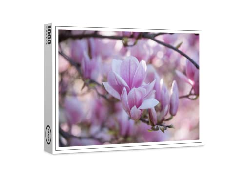 raxxa Premium-Puzzle | Magnolien | 1000 Teile raxxa Premium-Puzzle | Magnolien | 1000 Teile von raxxa