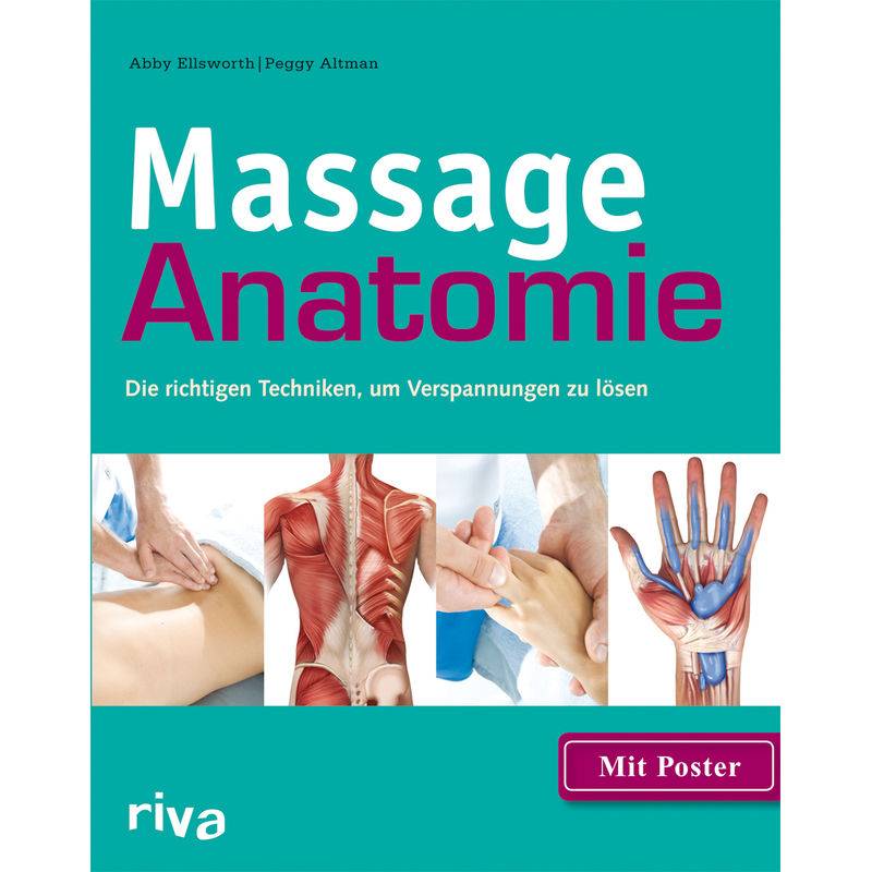 Massage-Anatomie, m. Poster von riva Verlag