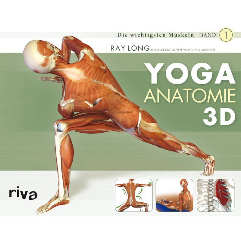 Yoga-Anatomie 3D.Bd.1 von riva Verlag