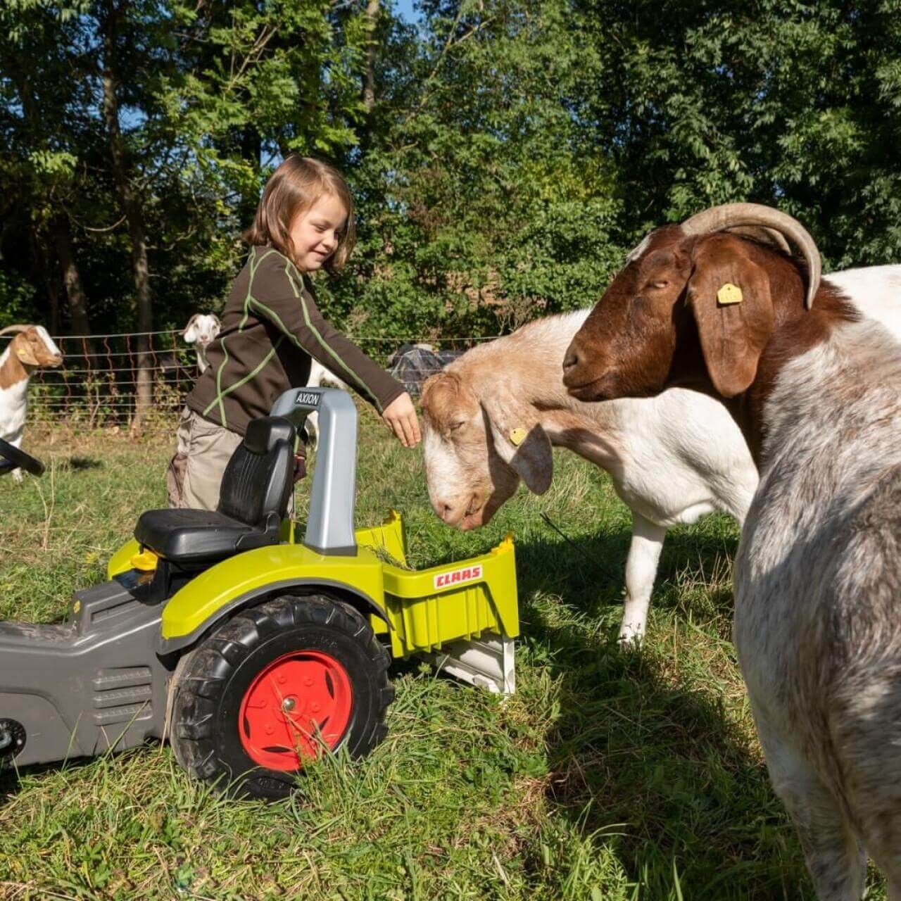 rollyBox Claas - Zubehör für Trettraktoren rollyBox Claas - Zubehör für Trettraktoren von rolly toys