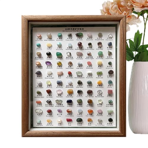 saibunratus Mineral-Set, 80 x tragbare rohe Edelsteine für die Sammlung, vielseitige Heimdekoration, klassisches raues Kristall-Set in Holzrahmen, für Damen und Herren saibunratus Mineral-Set, 80 x tragbare rohe Edelsteine für die Sammlung, vielseitige Heimdekoration, klassisches raues Kristall-Set in Holzrahmen, für Damen und Herren von saibunratus