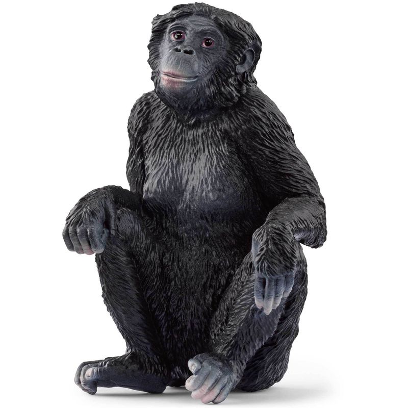 schleich® 14875 Wild Life - Bonobo Weibchen von schleich®