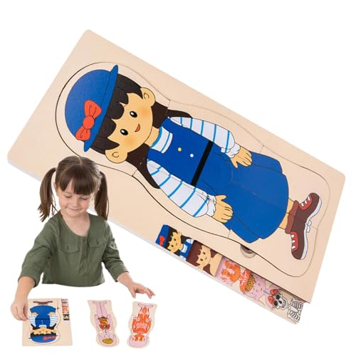 shizuku Anatomie-Struktur-kognitives Puzzle, Anatomie für Kinder - Mehrschichtige Anatomie-Struktur-Puzzlespielzeuge - Spielzeug für die frühe Entwicklung, interaktives pädagogisch-wissenschaftliches von shizuku