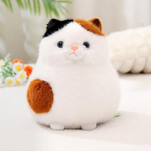 shownicer Plüschtier Katze Kuscheltier Stofftier Kawaii Katze Plüsch Kissen Spielzeug Kätzchen Plüsch Wurfkissen Geschenk für Kinder Mädchen 3+ Jahre (Weiß, 30cm) von shownicer