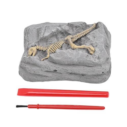 shpuuyy Dinosaurier -Ausgrabungs -Kit, Dinosaurier Fossil Digging Kit | Graben Sie es Dinosaurier,Stem Learning Science Experiments with Archeology Tools for Kids, Educational Arts & Crafts Sensory von shpuuyy