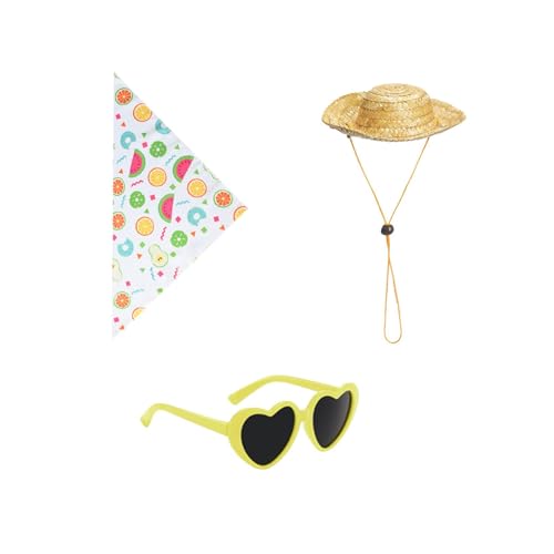 skyrabbiter Garten-Gans Kostüm, Strand-Thema mit Strohhut und Herzförmiger Sonnenbrille, Fruchtmuster Schürze, Stolen-Outfit für Kunststoff und Zement, Gans, Rasen, Terrasse, Gans, Statue (A) von skyrabbiter