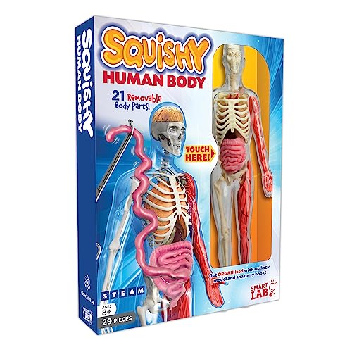 Squishy Human Body von smartLAB