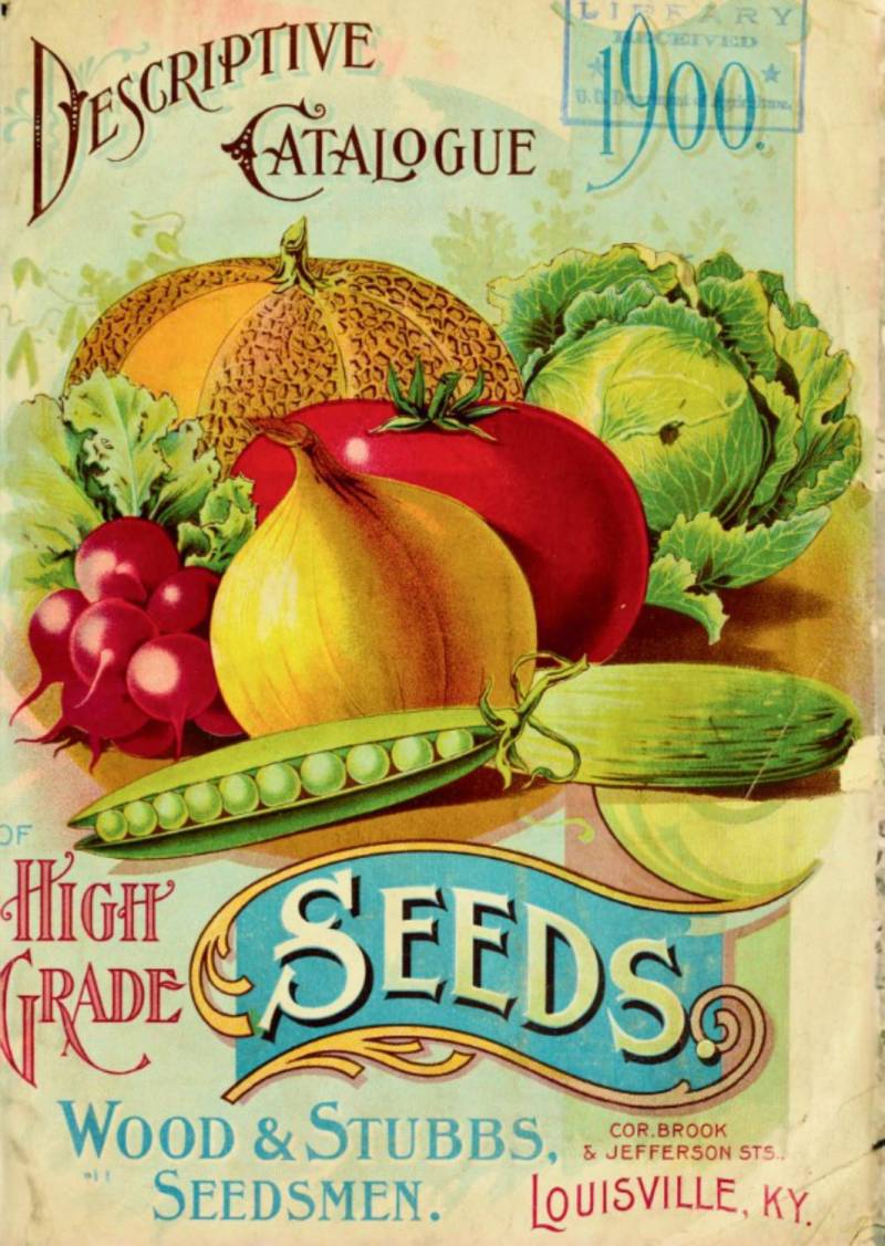 speedpuzzle.eu Puzzle 500 Teile – Seed Catalogue - speedpuzzle.eu Puzzle 500 Teile – Seed Catalogue - von speedpuzzle.eu