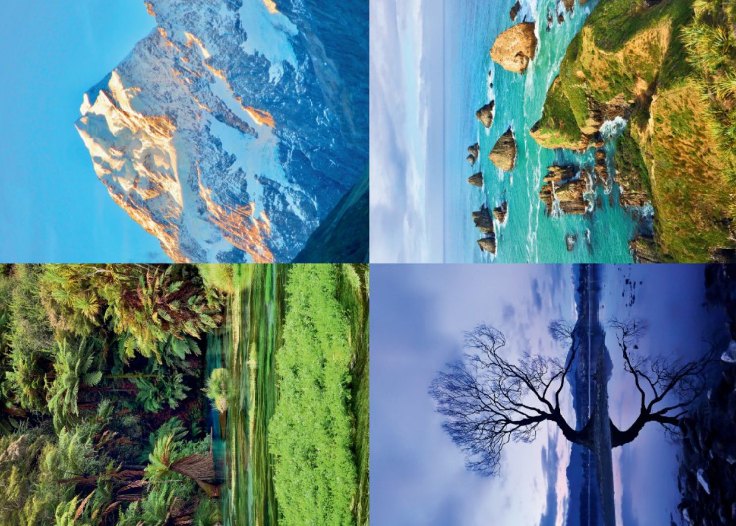 speedpuzzle.eu Puzzle 500 Teile – Wild NZ - speedpuzzle.eu Puzzle 500 Teile – Wild NZ - von speedpuzzle.eu