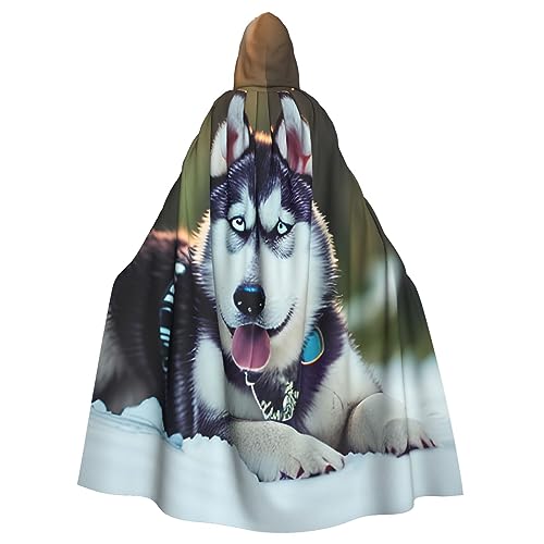 sttung Umhang mit Kapuze und Husky-Hunde-Aufdruck, für Erwachsene, Karneval, Hexenumhang, Kostüme, Party sttung Umhang mit Kapuze und Husky-Hunde-Aufdruck, für Erwachsene, Karneval, Hexenumhang, Kostüme, Party von sttung