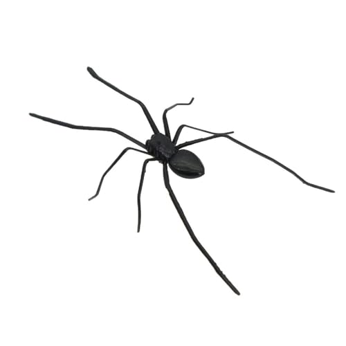 susiodeu Lebensechte Spinnenmagnete für tägliche Streiche an Freunden. Realistische Simulation Einer Spinne. Kühlschrankaufkleber aus Kunstharz für Garagentore, Schwarz susiodeu Lebensechte Spinnenmagnete für tägliche Streiche an Freunden. Realistische Simulation Einer Spinne. Kühlschrankaufkleber aus Kunstharz für Garagentore, Schwarz von susiodeu