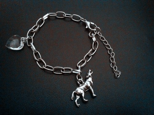 Twilight Bella's Armbänder von sweetheart