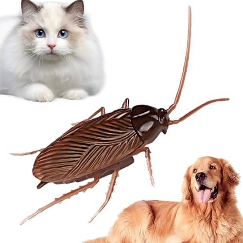 Gefälschte Kakerlaken - Halloween Electric Spider Cockroach Toy | Wireless Realistische Gefälschte Kakerlaken Gruselige Gruselige Spielzeuge | Mock Big Streichspielzeug Trick Geschenk Für Familie Gefälschte Kakerlaken - Halloween Electric Spider Cockroach Toy | Wireless Realistische Gefälschte Kakerlaken Gruselige Gruselige Spielzeuge | Mock Big Streichspielzeug Trick Geschenk Für Familie von syayw