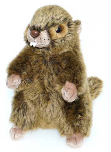 tachi Stehendes Plüschtier Murmeltier, beige braun Kuscheltier, Stofftier 18 cm tachi Stehendes Plüschtier Murmeltier, beige braun Kuscheltier, Stofftier 18 cm von tachi