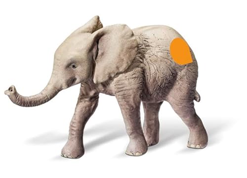 tiptoi® Afrikanisches Elefantenkalb von tiptoi