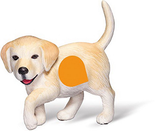 tiptoi® Golden Retriever Welpe von tiptoi