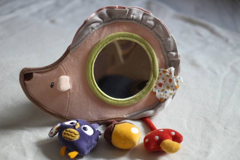 Activity Spiegel Igel für Kleinkinder von trullala