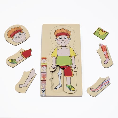 Meine Körperteile Puzzle für Kleinkinder Kinder Mädchen Jungen Montessori Holz Anatomie Puzzle 3-5 Jahre alt Vorschule Lernspiel Menschlicher Körper Kognitives Spielzeug (Noah) von tsiao chih