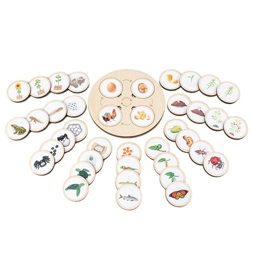Lebenszyklus-Tablett – Lebenszyklus von Puzzlespielzeugen aus für Kleinkinder | Holzpuzzle mit fünf Gittern als Früherziehung für Vorschulalter von 3 4 5 6 Jahren Lebenszyklus-Tablett – Lebenszyklus von Puzzlespielzeugen aus für Kleinkinder | Holzpuzzle mit fünf Gittern als Früherziehung für Vorschulalter von 3 4 5 6 Jahren von ulapithi