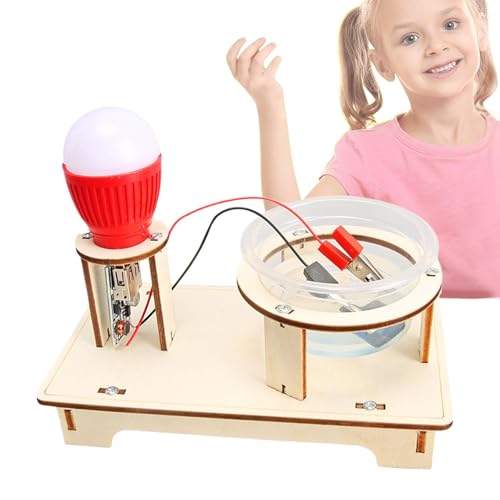 Spielzeuggenerator für Experimente mit Generator-Kit | Wissenschaftliches Spielzeug zum Generieren von Salzlake für Studenten, lustige Lernplatine für Thanksgiving, Ostern und den Tag der von ulapithi