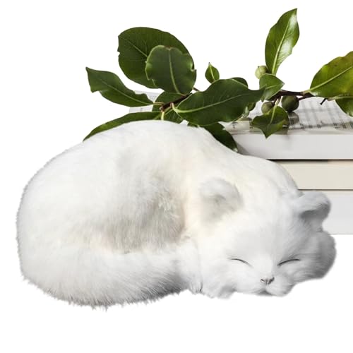 Katze aus Plüsch, Katzen-Plüschtier aus Plüsch | Dekoratives Schlafspielzeug | Katzenplüschspielzeug aus weichem Plüsch für und Mädchen, Modell 20,3 cm Katze aus Plüsch, Katzen-Plüschtier aus Plüsch | Dekoratives Schlafspielzeug | Katzenplüschspielzeug aus weichem Plüsch für und Mädchen, Modell 20,3 cm von ulapithi
