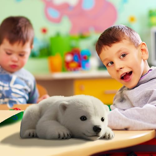 usefulbeauty Polarbär Kuscheltier,Kuscheltier Bär | Seelischer Begleiter Zum Kuscheln Für Kinder Erwachsene Schlafzimmer Zuhause Nacht Geburtstag Fest usefulbeauty Polarbär Kuscheltier,Kuscheltier Bär | Seelischer Begleiter Zum Kuscheln Für Kinder Erwachsene Schlafzimmer Zuhause Nacht Geburtstag Fest von usefulbeauty
