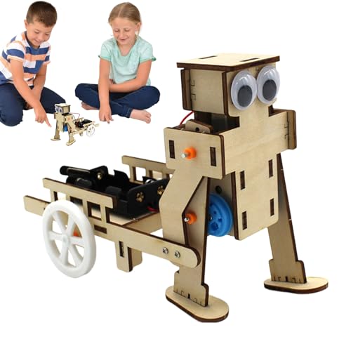 usefulbeauty Wissenschaft für sie, Set mit zusammengebauten Bausteinen, DIY Experimentierspielzeug aus Holz | Einzigartiges Lernspielzeug für praktische Fähigkeiten, Feinmotorik, von usefulbeauty