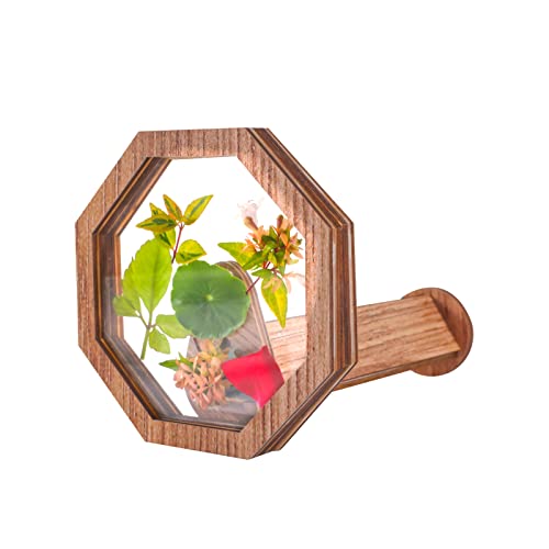 Natürliches DIY-Kaleidoskop-Set, neues magisches drehbares Kaleidoskop-Kaleidoskop für Naturliebhaber, bestes Geschenk, klassisches Lernspielzeug Natürliches DIY-Kaleidoskop-Set, neues magisches drehbares Kaleidoskop-Kaleidoskop für Naturliebhaber, bestes Geschenk, klassisches Lernspielzeug von vidonio