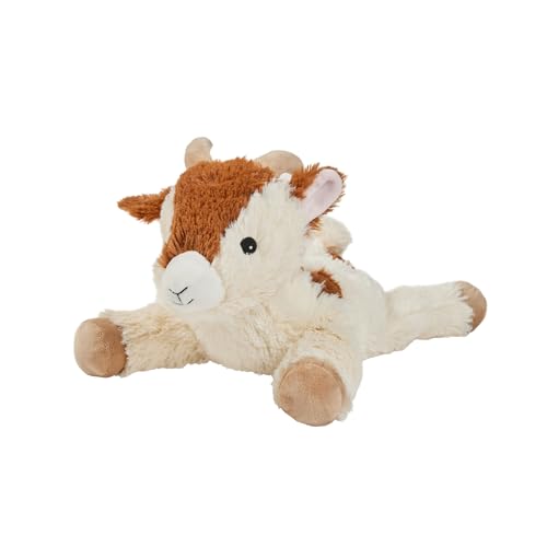 Warmies Plüsch-Teddy mit französischem Lavendelduft, warm oder kalt für kühle Entspannung und warme Linderung Warmies Plüsch-Teddy mit französischem Lavendelduft, warm oder kalt für kühle Entspannung und warme Linderung von warmies