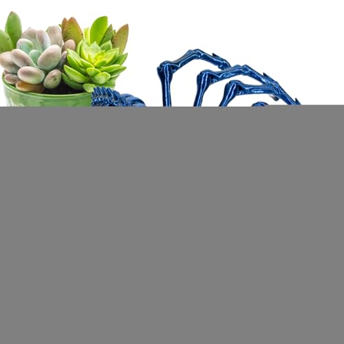 wiroouia 3D-gedruckte bewegliche Spinne, 3D-gedrucktes Spinnenspielzeug | 3D-gedruckte Spinnenspielzeuge mit beweglichen Gelenken | Schreibtischspielzeug zum Stressabbau, Schreibtischspielzeug für wiroouia 3D-gedruckte bewegliche Spinne, 3D-gedrucktes Spinnenspielzeug | 3D-gedruckte Spinnenspielzeuge mit beweglichen Gelenken | Schreibtischspielzeug zum Stressabbau, Schreibtischspielzeug für von wiroouia