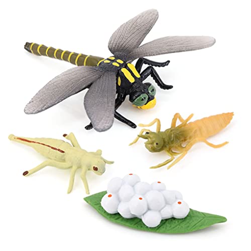 wisoolkic 1 Satz Lebenszyklusmodelle Haushaltswachstumsmodell Einfache kreative Simulation Bildung Requisiten Tierspielzeug für Kinder, Libelle wisoolkic 1 Satz Lebenszyklusmodelle Haushaltswachstumsmodell Einfache kreative Simulation Bildung Requisiten Tierspielzeug für Kinder, Libelle von wisoolkic