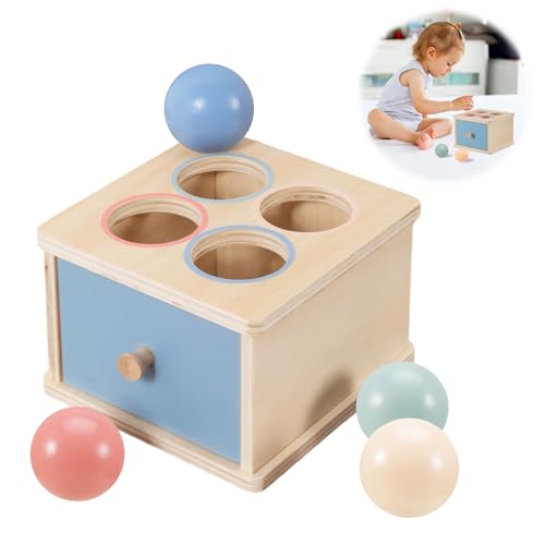 worahroe Montessori Spielzeug ab 1 Jahre Holz Pitch Box, Sensorik Bausteine Kinder Spielzeug, Farbe-Sortierspiel Mit Kugelkasten Holzspielzeug Ab 1 Jahr, Baby Motorikspielzeug Geschenk Junge MäDchen von worahroe