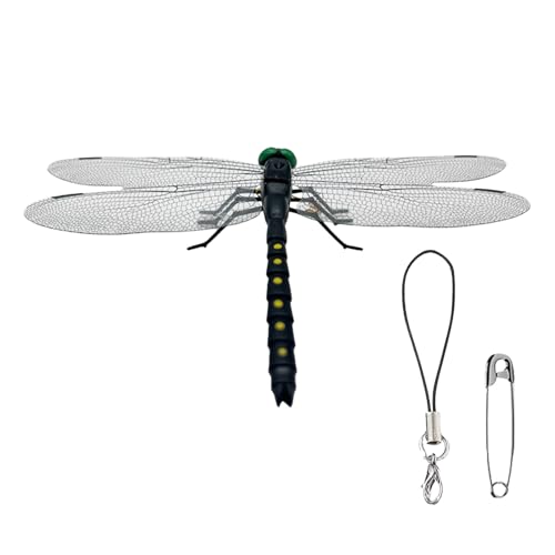 Libellenclip | Große Tiermodelle natürliche organische Insektenverzierungen | Kreatives Bildungsmodell, Dragon-Fly-Spielzeug für Erleuchtung Bildung, Rucksackschmuck, Kinder von wqibq