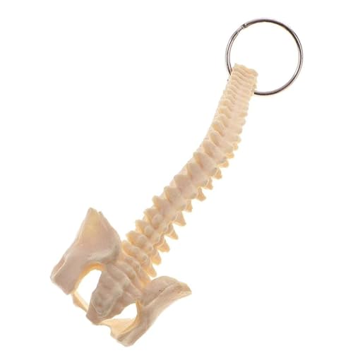wueiooskj Einfach zu simulierender menschlicher Wirbelsäulen Skelett Modell Schlüsselanhänger für Schullehrmittel, kompakter und Leichter Kunststoff von wueiooskj