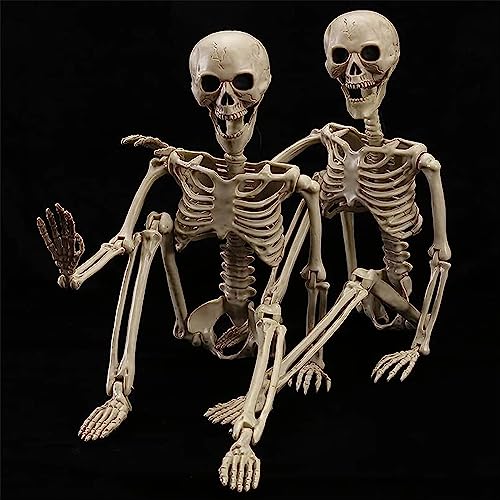 wymulot Halloween-Skelett, lebensgroß, realistische, bewegliche Jonints für Halloween-Party, Dekoration, Dekoration, 101,6 cm, 2 Stück wymulot Halloween-Skelett, lebensgroß, realistische, bewegliche Jonints für Halloween-Party, Dekoration, Dekoration, 101,6 cm, 2 Stück von wymulot
