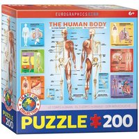 Eurographics 6200-1000 - Der menschliche Körper , Puzzle, 200 Teile von Eurographics