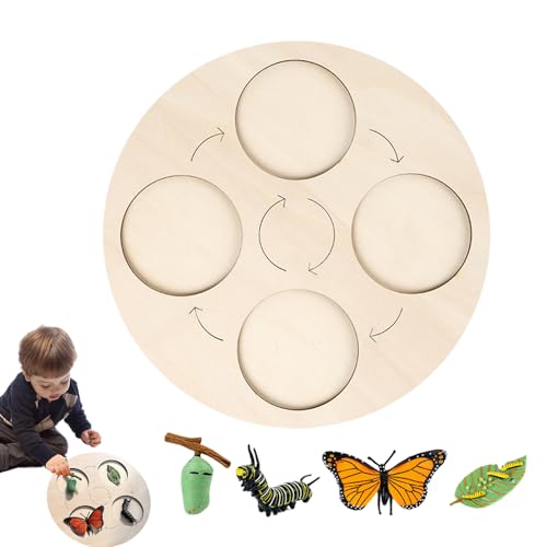 yakermur Schmetterlings Lebenszyklus Lernset, Entwicklungszyklus Puzzle für Kinder, Holzspielzeug zum interaktiven Lernen und Entdecken der Naturwissenschaften von yakermur