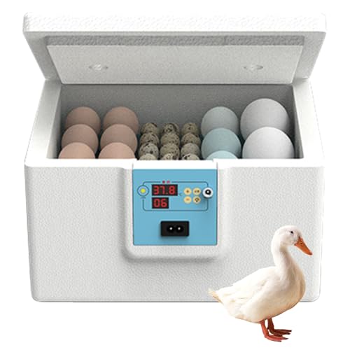 yanzisura Hühnerei-Inkubator, Haushaltswachtelbrutschrank, thermostatische Eierzuchtbox, halbautomatisch, für Wissenschaft, Klassenzimmer, Labor, Zuhause, Bauernhof, Vogel, Wachteln von yanzisura