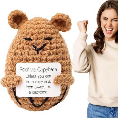 Häkeln Positive Sukkulenten, Häkeln Positiv | Kleine Capybara Cactus Sukkulenten Emotionales Stützspielzeug - Haltende Karten Um Zweig zu fördern, Puppe von ycezw