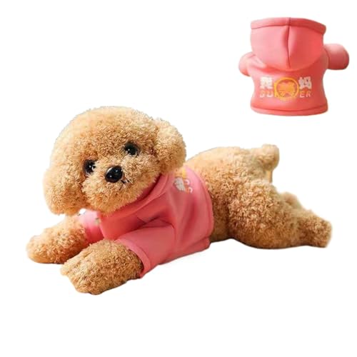 ycezw Plüschtiere - HundePlüschtiere, niedliche Cartoon Kuschelhunde | Tedy Dog Plüschtiere, Plüschtiere Plüsch, Kindergarten Heimtextilien, Weiche Simulation Welpen Spielzeug für Kinder Erwachsene ycezw Plüschtiere - HundePlüschtiere, niedliche Cartoon Kuschelhunde | Tedy Dog Plüschtiere, Plüschtiere Plüsch, Kindergarten Heimtextilien, Weiche Simulation Welpen Spielzeug für Kinder Erwachsene von ycezw