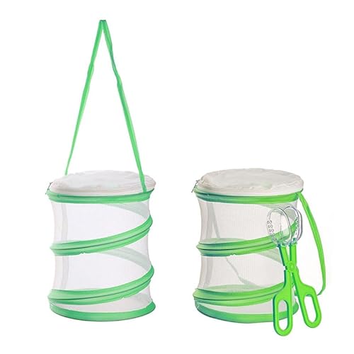 zalati Habitat Käfig, tragbar, Netzkäfig, faltbar, Pop-Up-Terrarium mit Scherenpinzette, Fänger für Insekten, Schmetterlinge, Käfer – 15,7 x 15,7 cm zalati Habitat Käfig, tragbar, Netzkäfig, faltbar, Pop-Up-Terrarium mit Scherenpinzette, Fänger für Insekten, Schmetterlinge, Käfer – 15,7 x 15,7 cm von zalati