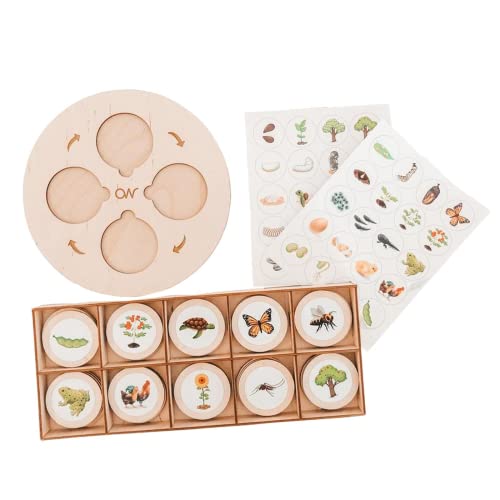 zalati Life Cycle Tray Kit Lernkarten-Spielzeug Montessori mit Holzplatte für lehrreiches und lustiges Zuordnungsspiel für Kinder ab 3 Jahren von zalati