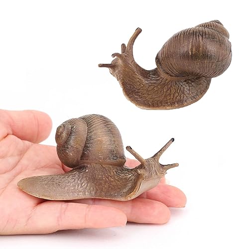 zalati Tierfigur, Simulationsspielzeugfigur zum Lernen, Lernspielzeug, Feengarten-Dekoration – Schnecke zalati Tierfigur, Simulationsspielzeugfigur zum Lernen, Lernspielzeug, Feengarten-Dekoration – Schnecke von zalati