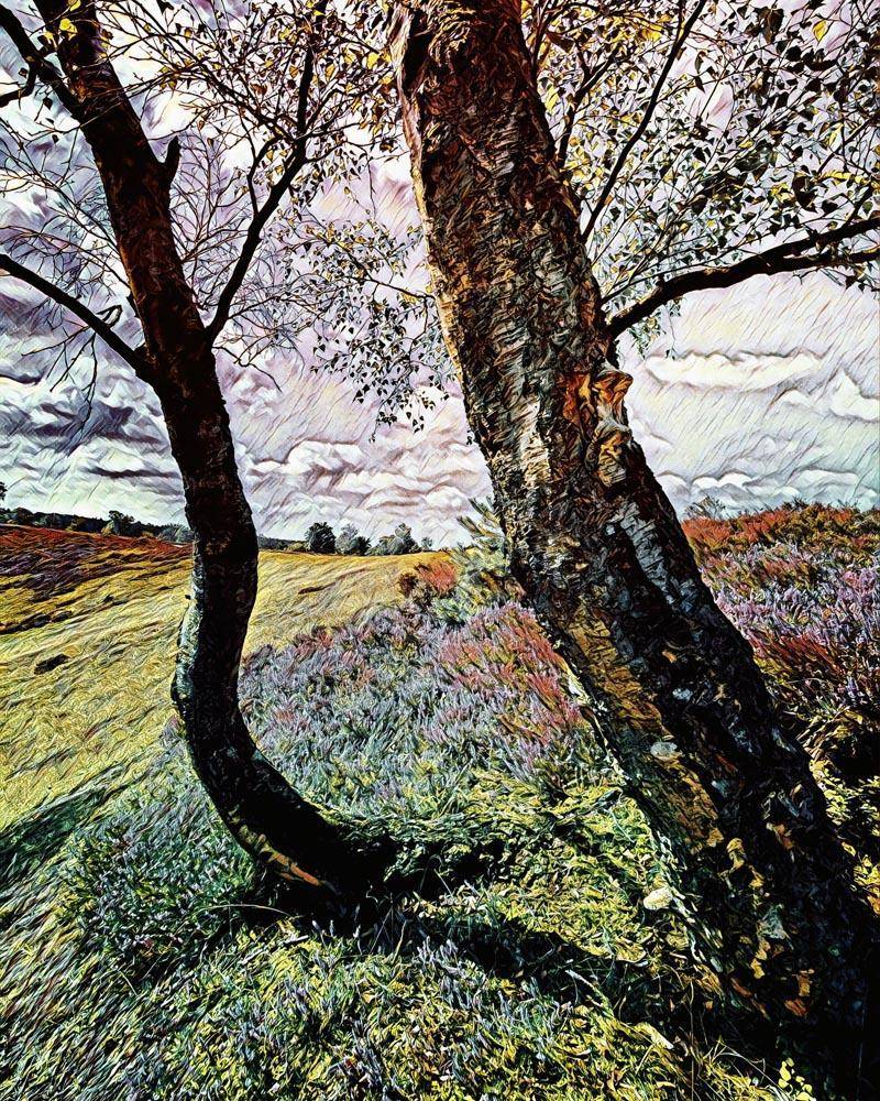 Malen nach Zahlen - Die Heide blüht - by zamart, mit Rahmen von zamart