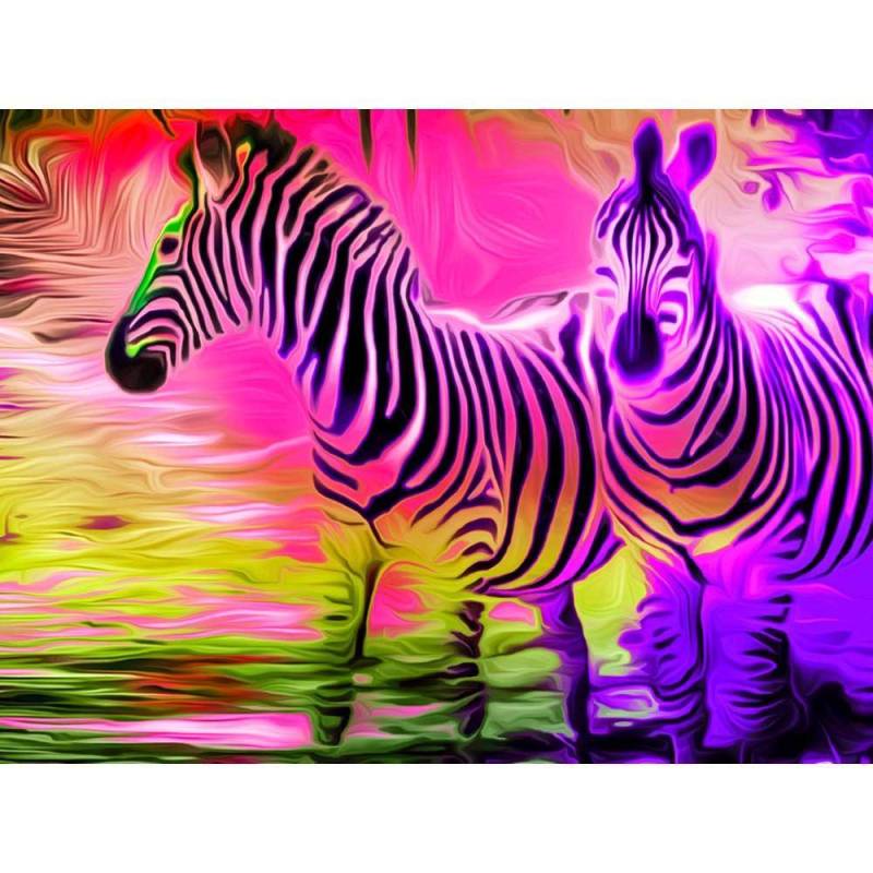 Malen nach Zahlen - Zwei Zebras (Südafrika) - Artist's Edition - by zamart, mit Rahmen von zamart